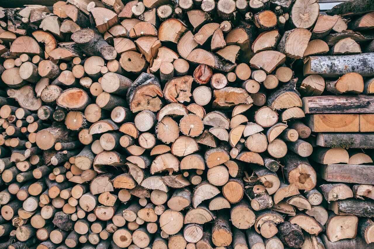 Tree Branch Trimming in Meridian, CO